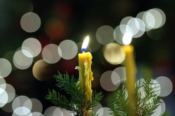 gimper 
Boże Narodzenie 
2015-01-22 17:39:35