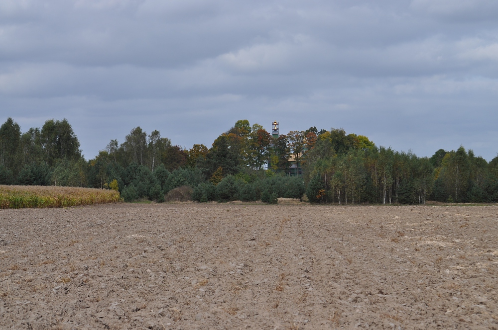 Trześcianka (2)