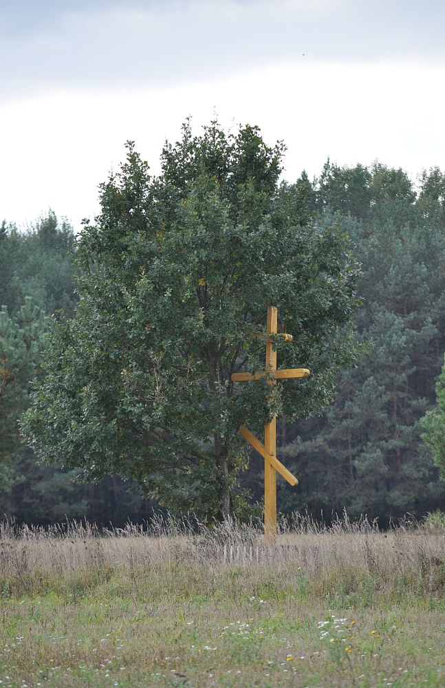 Trześcianka (3)