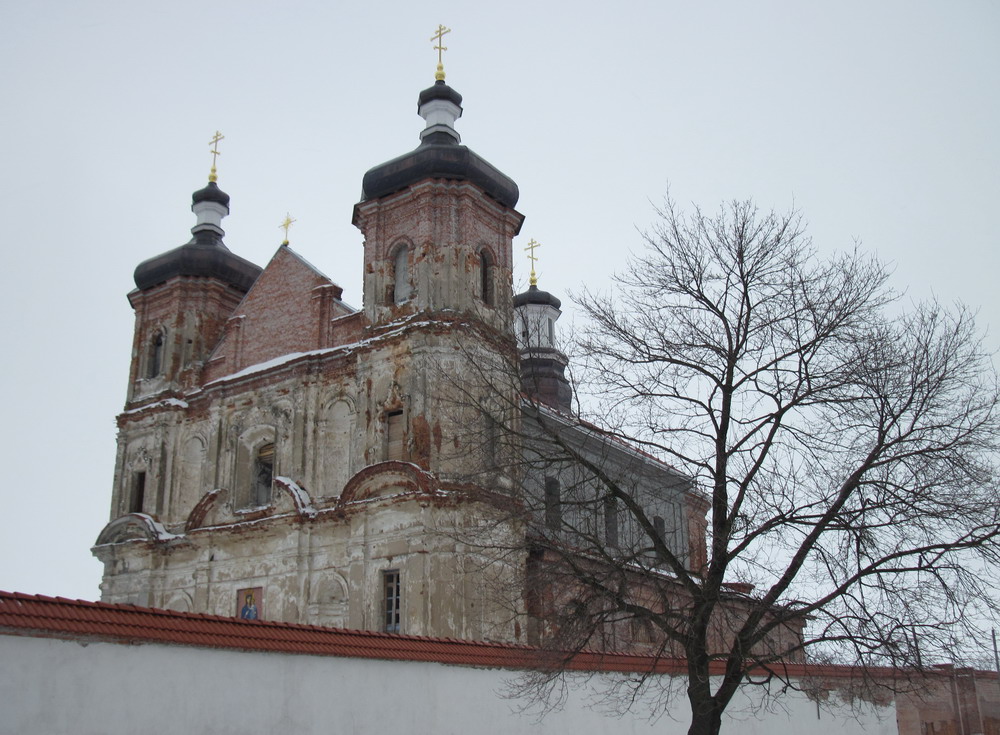 Рождества-Богородицы Юровичский монастырь. Фото 30 марта 2013 г.