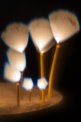 rzs 
 
2015-02-03 22:01:42