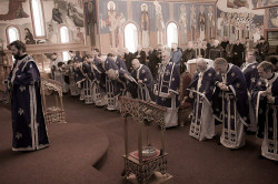 MikaV 
Sa liturgije 
2015-02-11 21:46:23