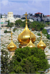 iltours 
Domes of St. Mary Magdalene Church, Jerusalem 
2015-02-12 19:10:42