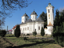 maksim 
Бодрог 
2015-02-17 12:00:25