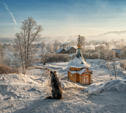 vladimir855 
Утренний созерцатель 
123 
2015-02-20 14:36:05