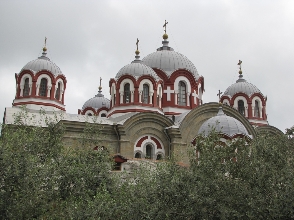 Света Гора 33