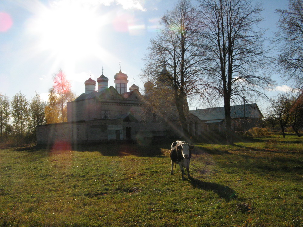 Сельская царква