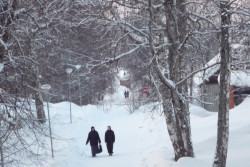 lugevi 
С источника 
2015-03-02 14:10:32