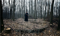 novinar 
The hermit 
2015-03-20 13:34:29