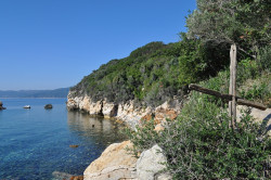 bogdan 
Άγιο Όρος 2014 
2015-03-23 12:58:49