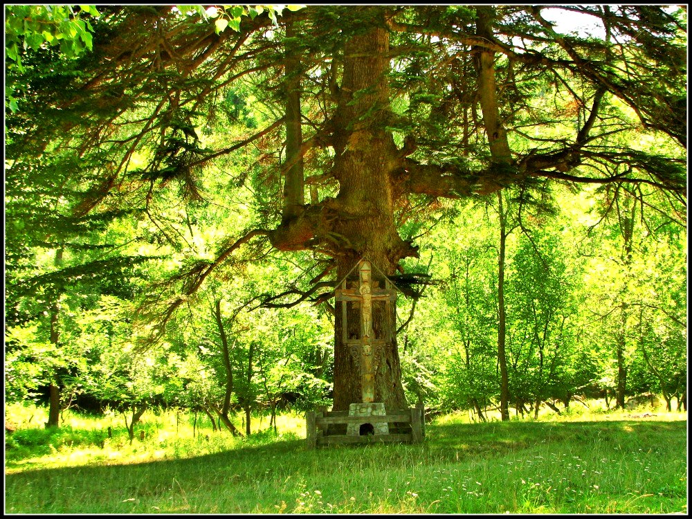 Troita din drumul spre Manastirea Horaita,jud. Neamt 