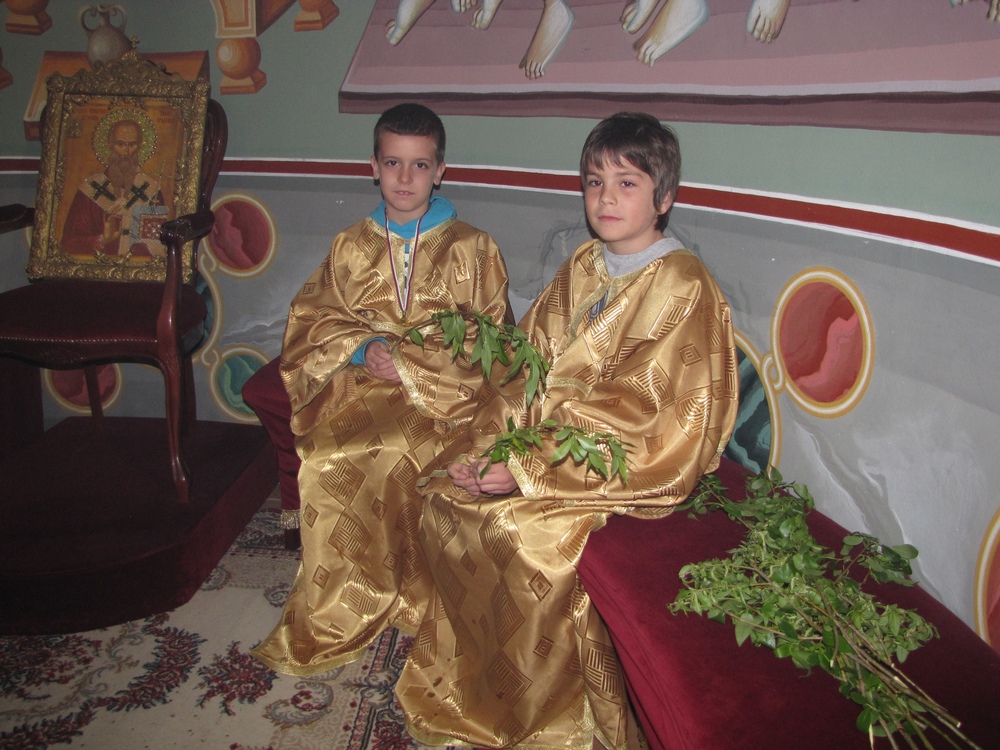 Врбица