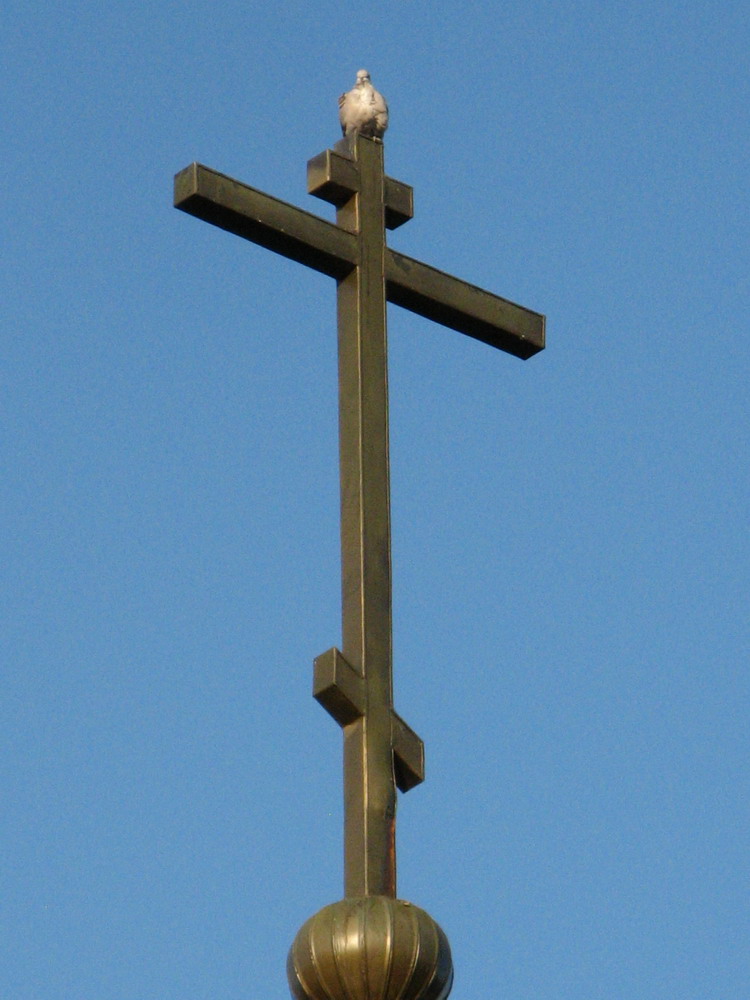 Крыж і голуб.