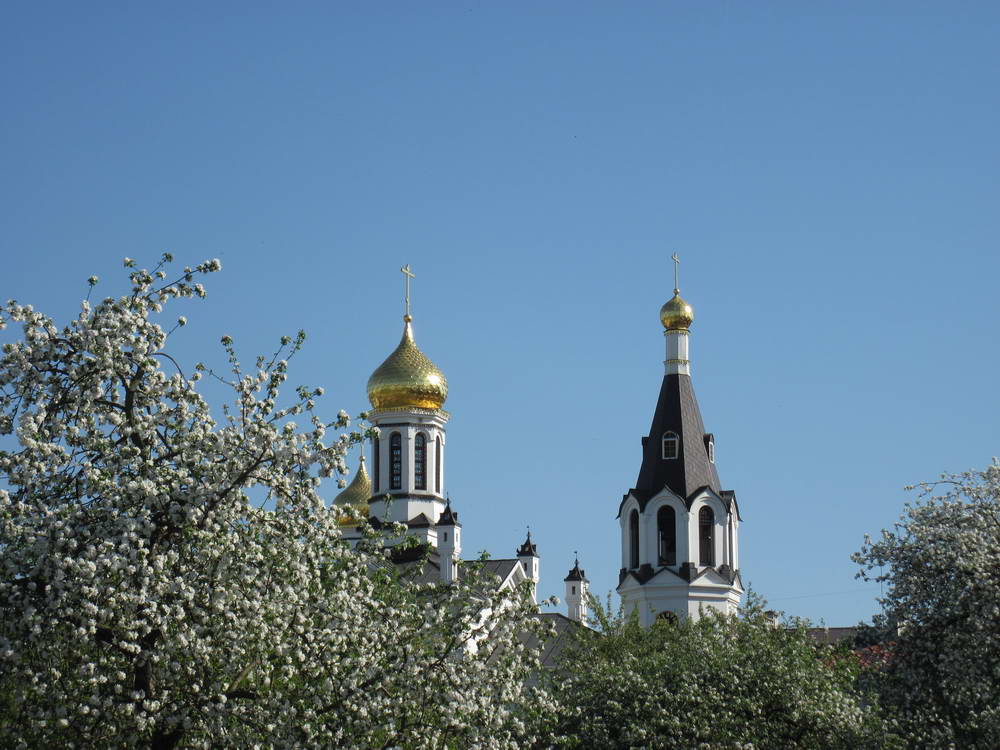 Свято-Никольский мужской монастырь. Гомель.