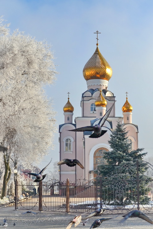  Свято-Владимирский храм