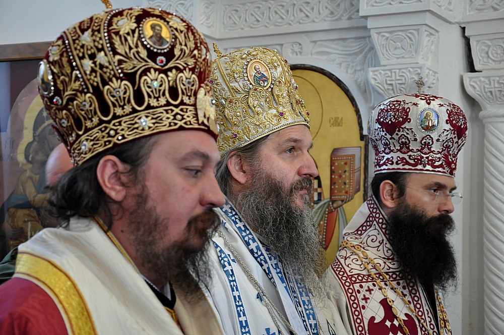 Владике