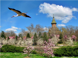 ursache 
Catedrala Timisoara 
2015-04-06 23:55:28