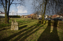 Pit_Zsak_ 
Łapy Osse. 
2015-04-09 00:37:34