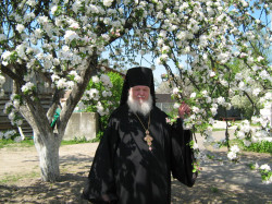 dziatishka 
Добры пастар 
81 
2015-04-16 14:26:10