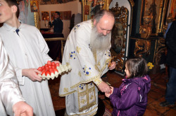 Rasko 
HRISTOS VOSKRESE 
2015-04-17 00:31:12