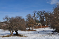 kenzo 
Qvatetri monastery 
2015-04-19 23:17:58