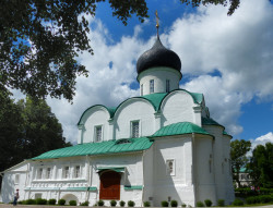 Solodushkin 
Троицкий собор .Александровский Свято-Успенский монастырь. 
2015-04-21 18:22:01
