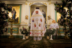 AdrianKazimiruk 
Chrystus zmartwychwstał! / Христос Воскресе! (7) 
2015-04-25 12:40:04