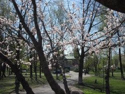 andrey 
Вясна 
2015-04-29 12:04:19