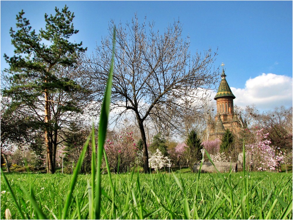 Metropolitan Cathedral of Timisoara