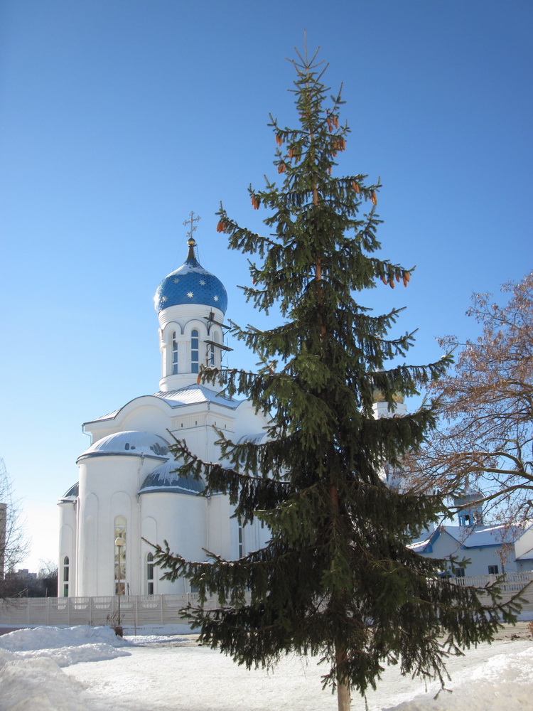 Зіма.