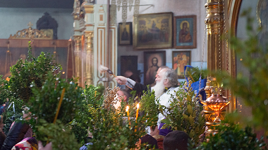 Palm Sunday