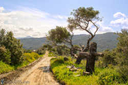 vavila 
Athonite roads 
2015-05-01 20:49:38