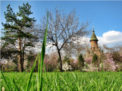 ursache 
Metropolitan Cathedral of Timisoara 
2015-05-01 21:11:14