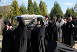 jarek 
The pilgrimage to Zwierki convent 2 
2015-05-03 20:41:11
