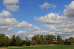 Maniek 
Trześcianka 2015 
2015-05-03 22:35:13