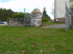 theodoros