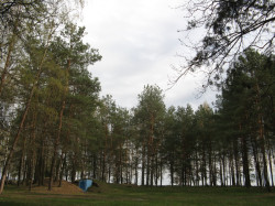 from homel 
Царква Увядзення ў храм Божай Маці у Цагельні. 
2015-05-21 14:20:01