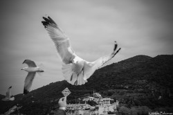 kostas bilionas 
 
2015-05-21 15:02:16
