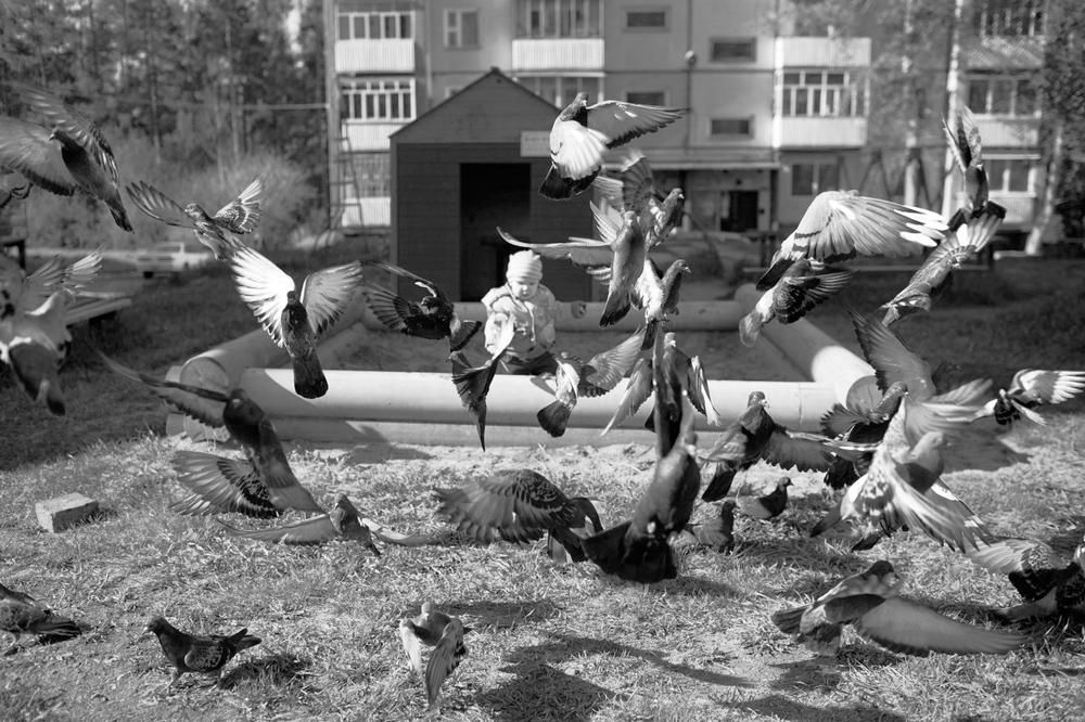 Baby and pigeons