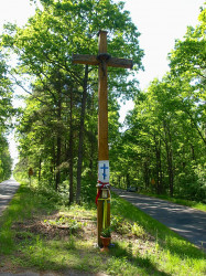 szolucha.w 
Krzyż na rozwidleniu dróg w lesie 
2015-06-17 17:32:52