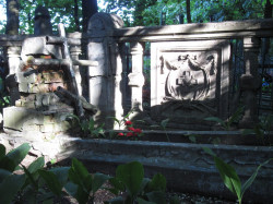 from homel 
Новабеліцкія могілкі-7 
2015-06-18 16:08:42