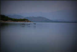melodie_del_mar 
Starceva Gorica, evening view from the monastery 
2015-06-19 15:48:53