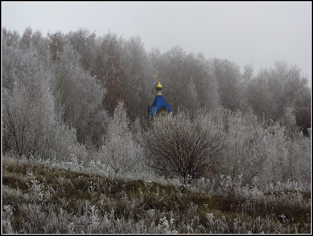 The frost