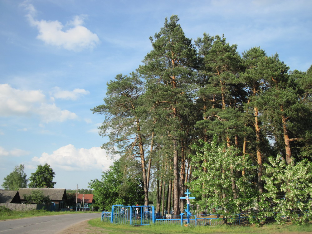 в. Прыбар. Могілкі.