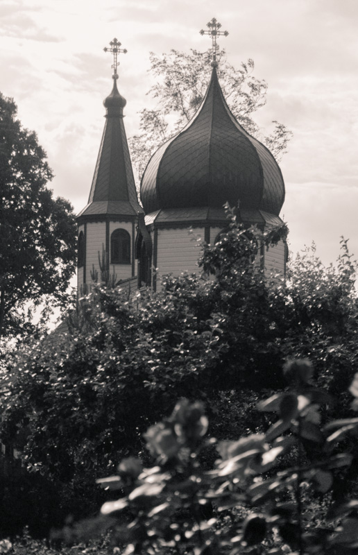 w Wojnowie