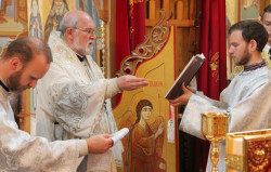 jarek1 
Divine Liturgy in Zwierki Convent 
2015-07-28 20:43:16