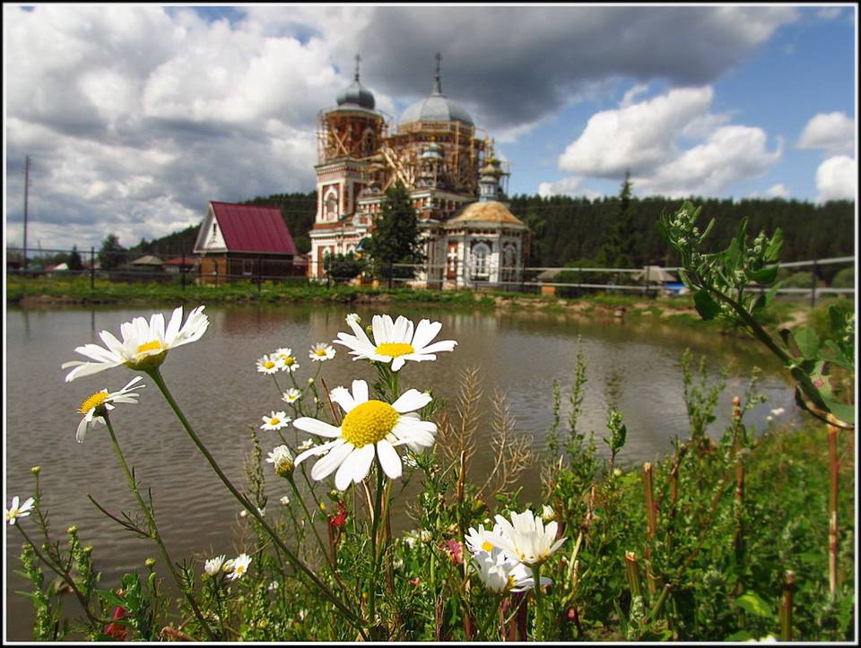 Summer    Лето