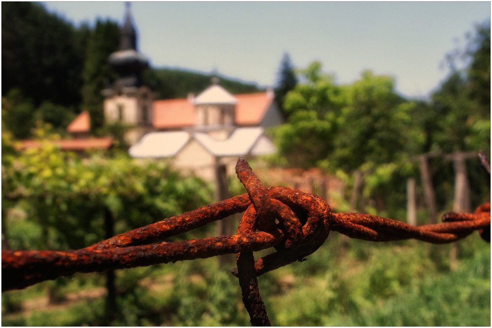 MANASTIR TRONOŠA