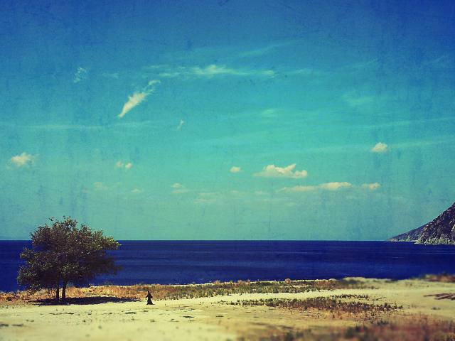 solitary Monk on the shore