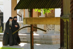 PALADA 
Sfat de taină... 
2015-08-03 16:37:21